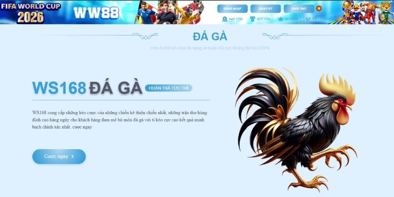 Đá Gà WW88 – Trực Tiếp Đá Gà Thomo & Cựa Dao Tỷ Lệ Thưởng Cao